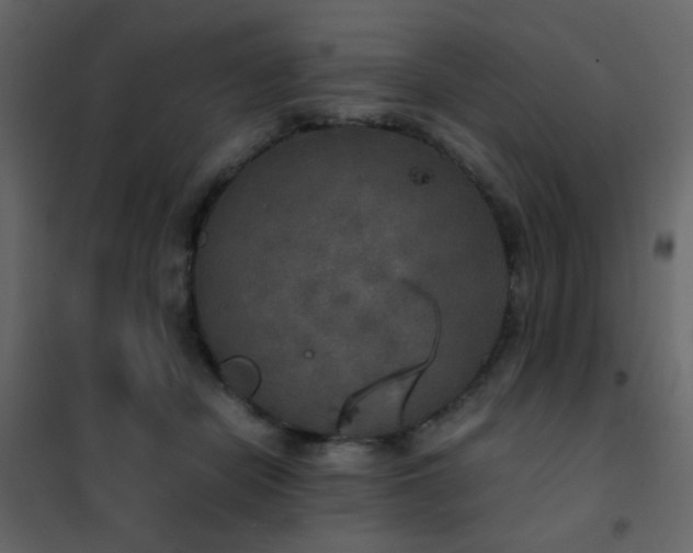 X0000102520462200808081431