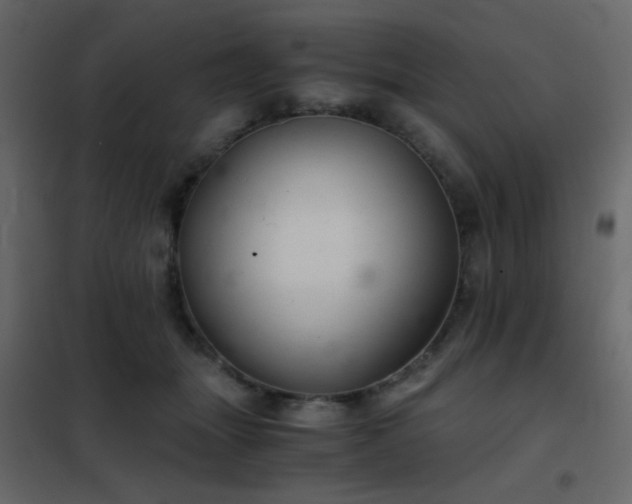 X0000102520463200808081431