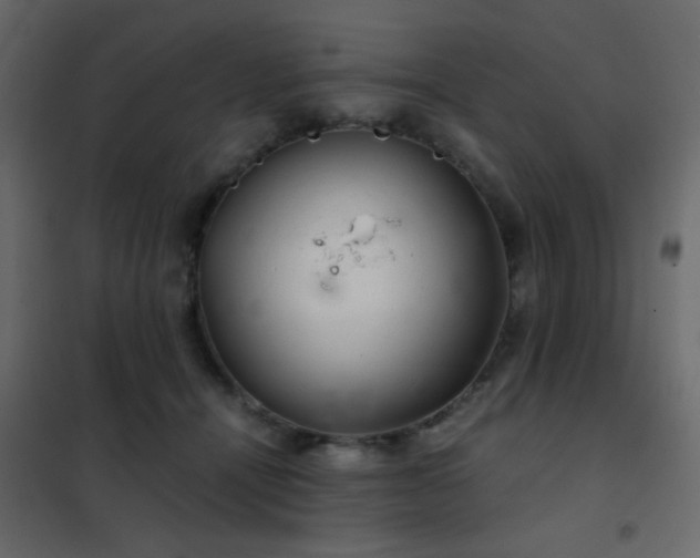 X0000102520464200808081431