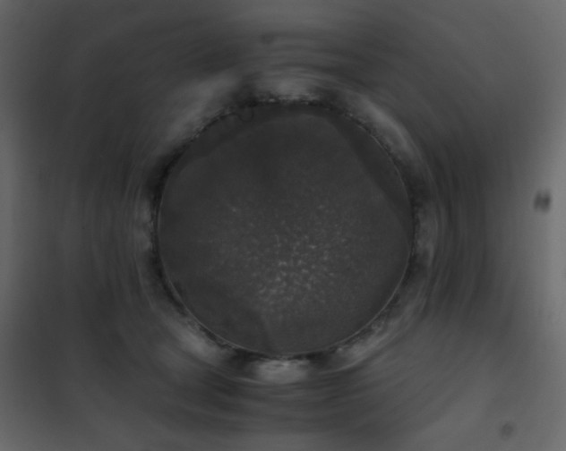 X0000102520465200808081431