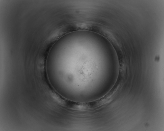 X0000102520466200808081431