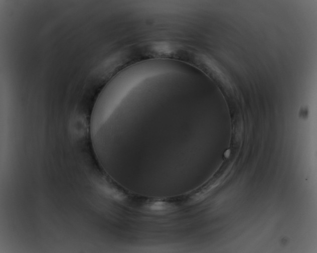 X0000102520467200808081431