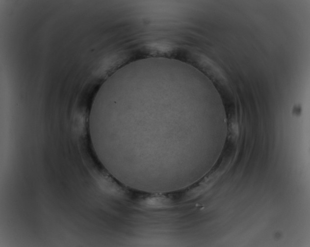 X0000102520468200808081431