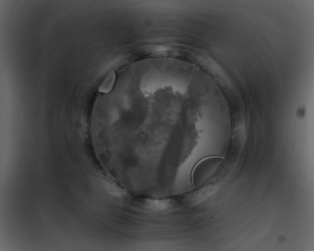 X0000102520469200808081431