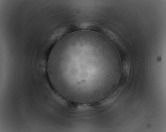 X0000102520470200808081431