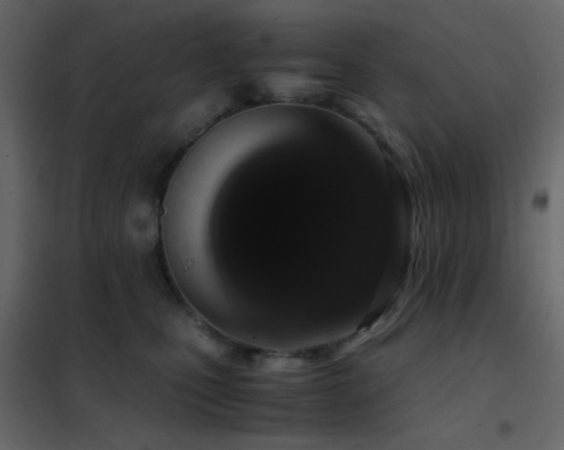 X0000102520471200808081431