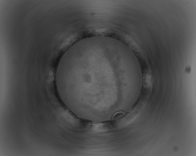 X0000102520472200808081431