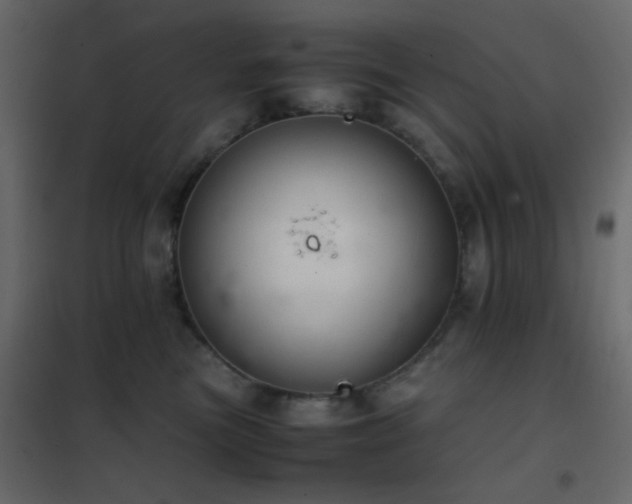 X0000102520473200808081431