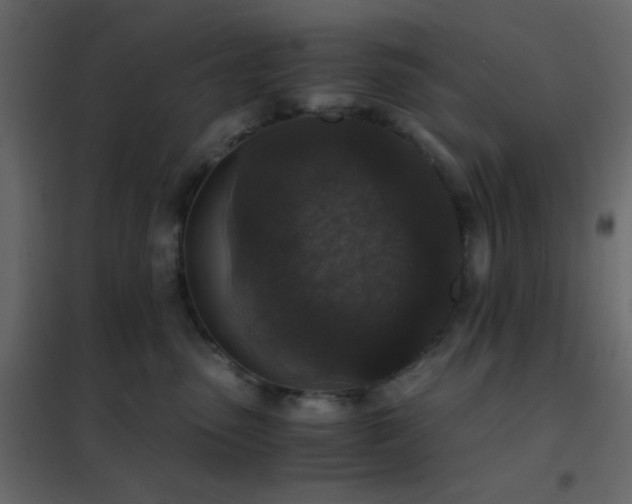 X0000102520475200808081431