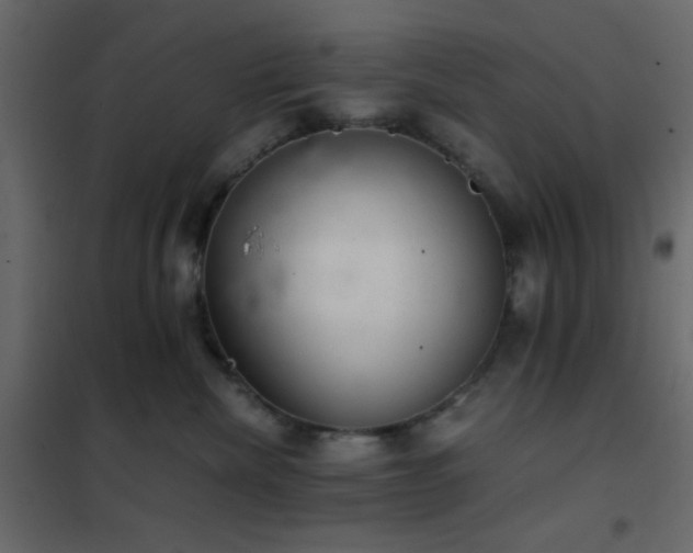 X0000102520476200808081432