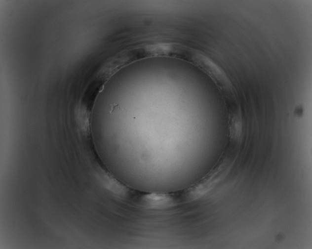 X0000102520477200808081432