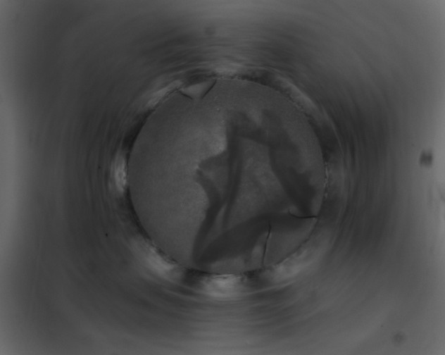 X0000102520479200808081432