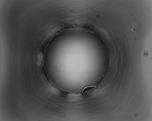 X0000102520480200808081432