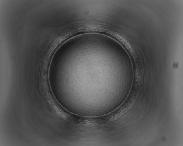 X0000102520481200808081431