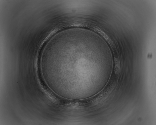 X0000102520482200808081431