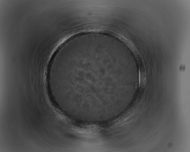 X0000102520483200808081431