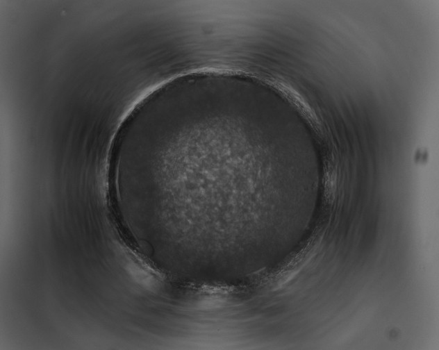 X0000102520484200808081431