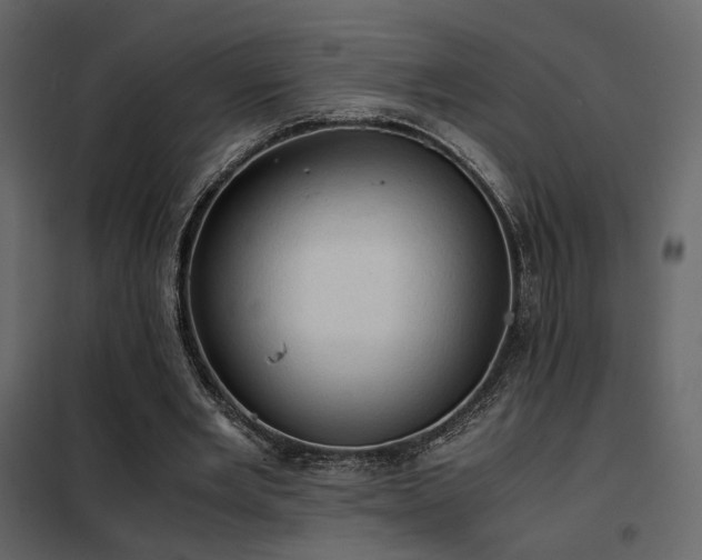 X0000102520485200808081431