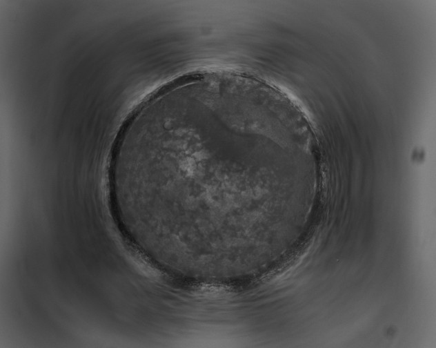 X0000102520487200808081431