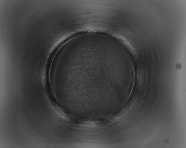 X0000102520488200808081431