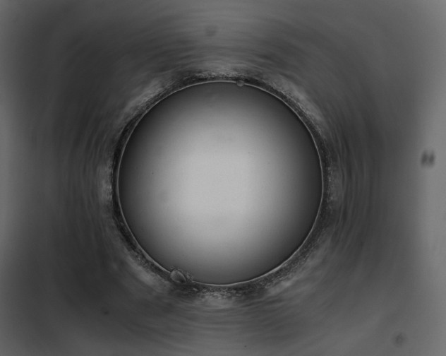 X0000102520489200808081431