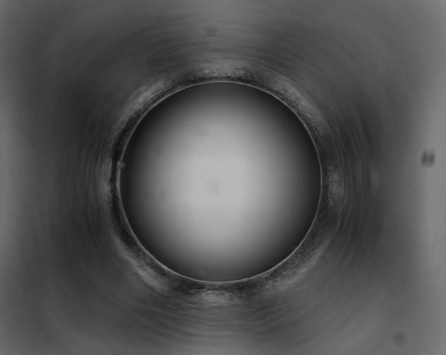 X0000102520490200808081431