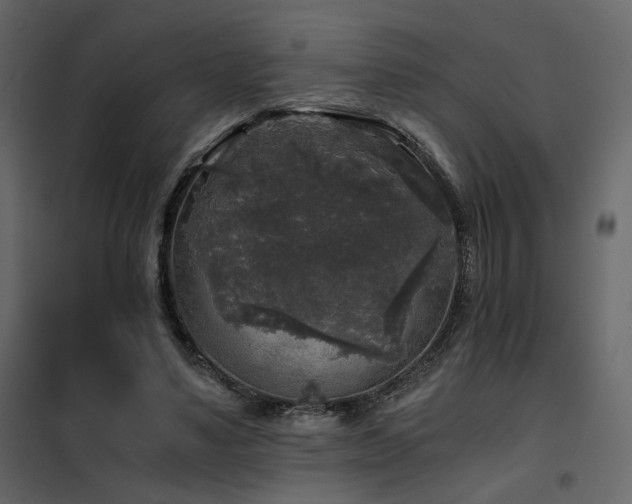 X0000102520491200808081431