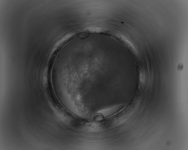 X0000102520492200808081431