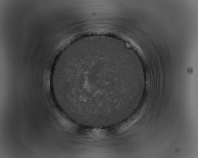 X0000102520493200808081431