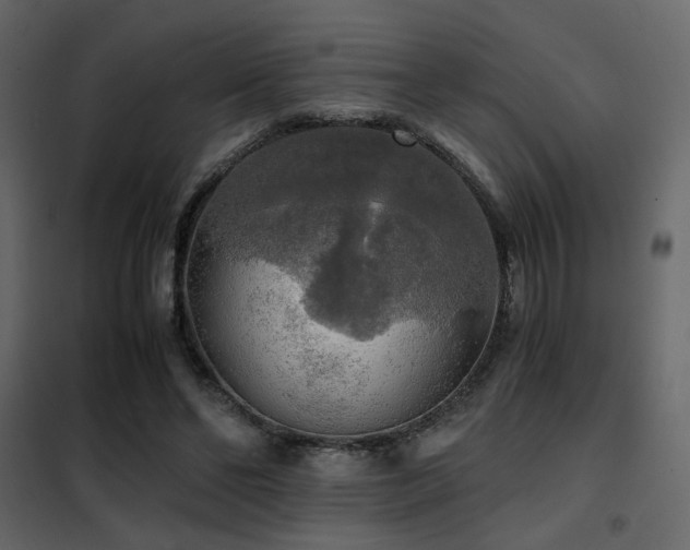 X0000102520494200808081431