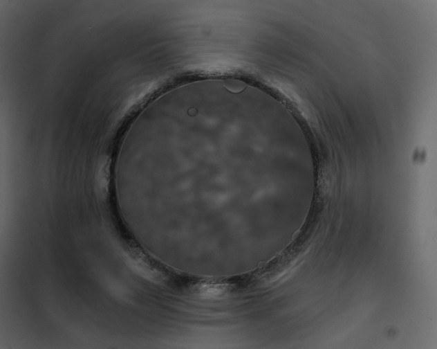 X0000102520495200808081431