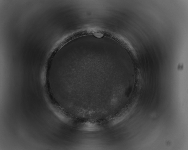 X0000102520496200808081431