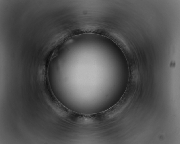 X0000102520498200808081431