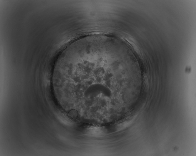 X0000102520499200808081431