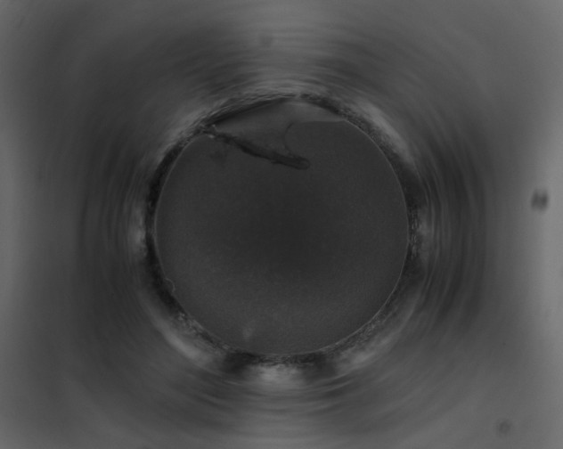 X0000102520500200808081431