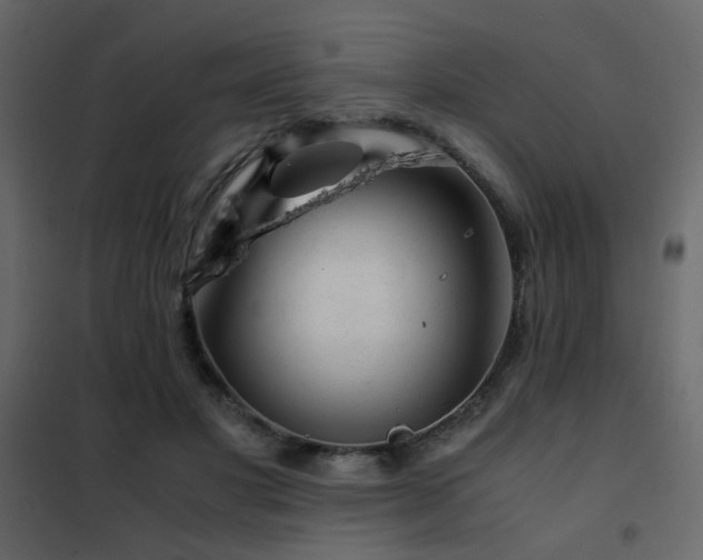 X0000102520501200808081431