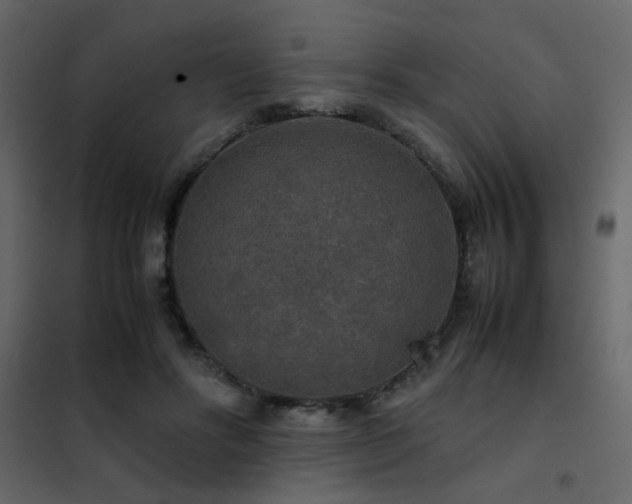 X0000102520502200808081431