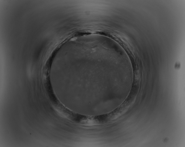 X0000102520503200808081431