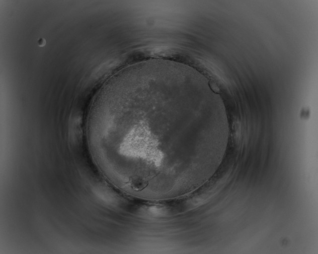 X0000102520506200808081430