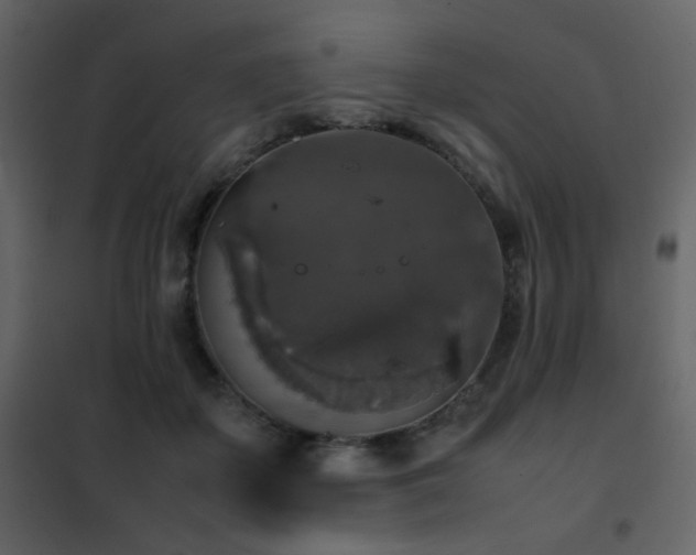 X0000102520507200808081430