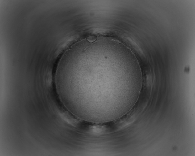 X0000102520508200808081430