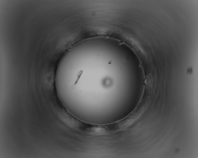 X0000102520509200808081430