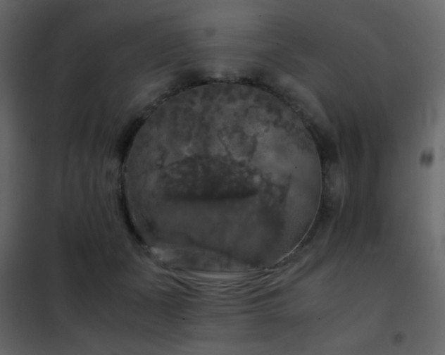 X0000102520511200808081430