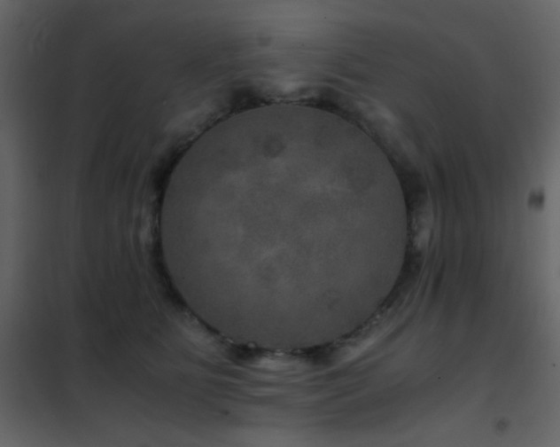 X0000102520515200808081430