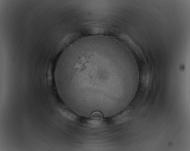 X0000102520516200808081430