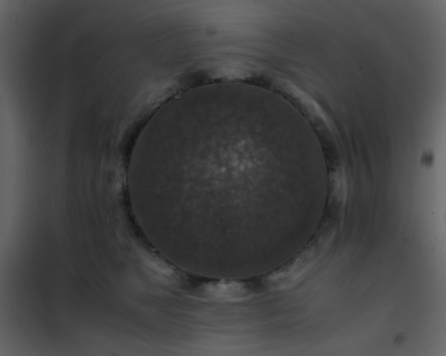 X0000102520517200808081430