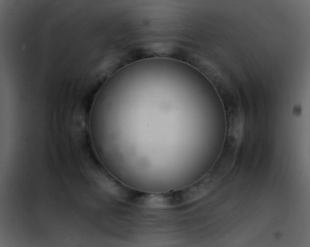 X0000102520518200808081430