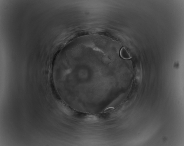 X0000102520519200808081430