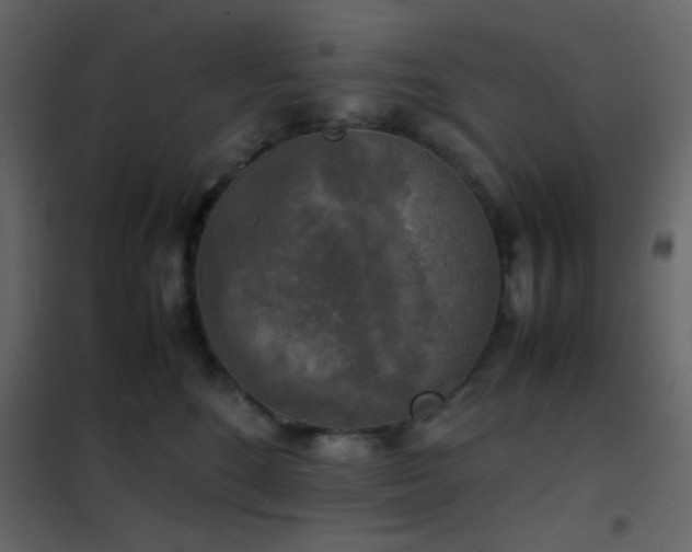 X0000102520520200808081430