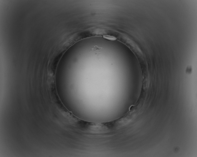 X0000102520521200808081430